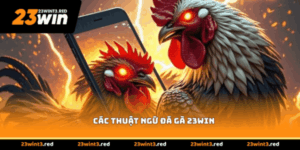Các Thuật Ngữ Đá Gà 23WIN - Từ Điển Dành Cho Bạn
